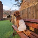 멍글몽글 이미지