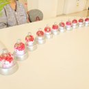 식물공예 이미지