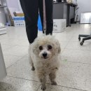 덕일학원 이미지