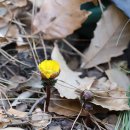 개산초등학교 이미지