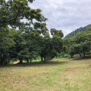 밤나무민박 이미지