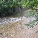 뚝지펜션 이미지