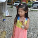 고릴라펜션 이미지