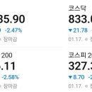 퍼스펙 이미지