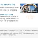스파드자이 네이버블로그
