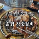참숯고기집 | 경기 평택 맛집 고기집은 여기 “솔향 참숯갈비” 후기