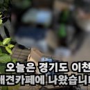댄싱도그