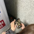 수미수작 네이버블로그