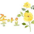 산드로롯데동탄점