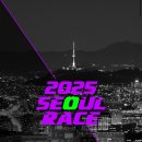 치킨 42.195 | &lt;런닝리뷰&gt;2025 서울 레이스 (Seoul Race) 가이드! 서울 도심 한복판 러닝 축제!