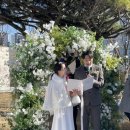 보스코공주 이미지