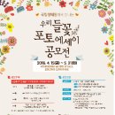 들꽃이야기