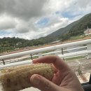 (주)해양조선 | 거제 수국 보러~ 저구 수국동산, 조선해양문화관