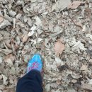 마음 스크린 이미지