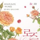 보태니컬아트(색연필그림) 이미지