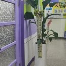 영어의혁신영어교습소