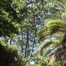 썬샤인협재 | 제주 4박 5일 남쪽 서귀포 - 서쪽 코스 일정 추천