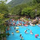 산림욕장 충남일보