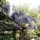 삼풍가든 이미지