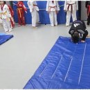 신강호 태권도 이미지