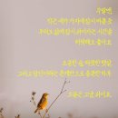 몬타나 이미지