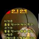 부쳐부쳐 이미지