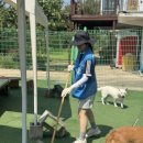 보리마당협동조합 | 26.06.28_오산 원브리스 유기견 봉사 후기 | 여름철 봉사 준비물부터 산책 봉사까지