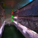 팜소프트 이미지