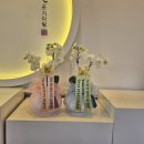 천해랑 | W6. 부산 상견례 추천 / 천해랑 / 상견례 선물 호접란 / 내돈내산