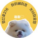 하이베이프 이미지