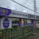 백프로 수제찐빵 | 안산/대부도 가볼맛한곳 대부도포도찐빵 | 유명한 대부도 포도로 만드는 수제빵 대부도 맛집 후기