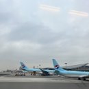 광평상회 | 한림칼국수, 스윗케이크, 카페 평균이하, 랜디스도넛, 협재해수욕장, 잔물결, 도민상회, 에코그린리조트>