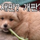 면상