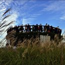 하늘공원 이미지