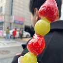 대단한탕후루신정네거리역점 이미지