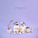 쌍둥이헤어샵 - 정읍시 시장2길 14 | 쌍둥이헤어샵