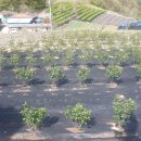 우일농장 이미지