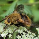 금남 이미지