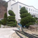 수정초 법주분교 이미지