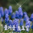 체질에 맞는 음식 궁합 이미지