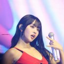 리즈라이프 이미지