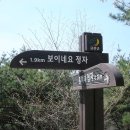 충남 금산 비단고을 산벚꽃 산꽃나라 술래길걷기 여행 이미지