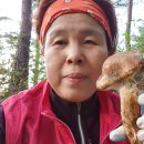 초전초등학교 이미지