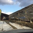 강림면320 이미지