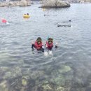 해마루민박 | 강원도 삼척 갈남항 - 여행후기 /스노쿨링 후기 / 갈남항 꿀팁소개 / 갈남항스노쿨링