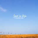 오랜지바다 이미지