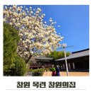 창원의집 | 창원 목련 명소 창원의집 가볼만한 곳 추천