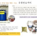 황의 미생물 발효 및 식물 흡수- 황함유 기능성 농산물 생산 원리 이미지