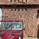 금요음악회 | [CAFE / 남양주] 👶🏻아기와 함께! 북한강 인근 ☕유럽풍 앤틱 카페 '왈츠와닥터만' 방문후기