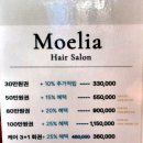 엘리 애견미용실 | 다산역 미용실 추천, 모엘리아 여아단발펌 후기